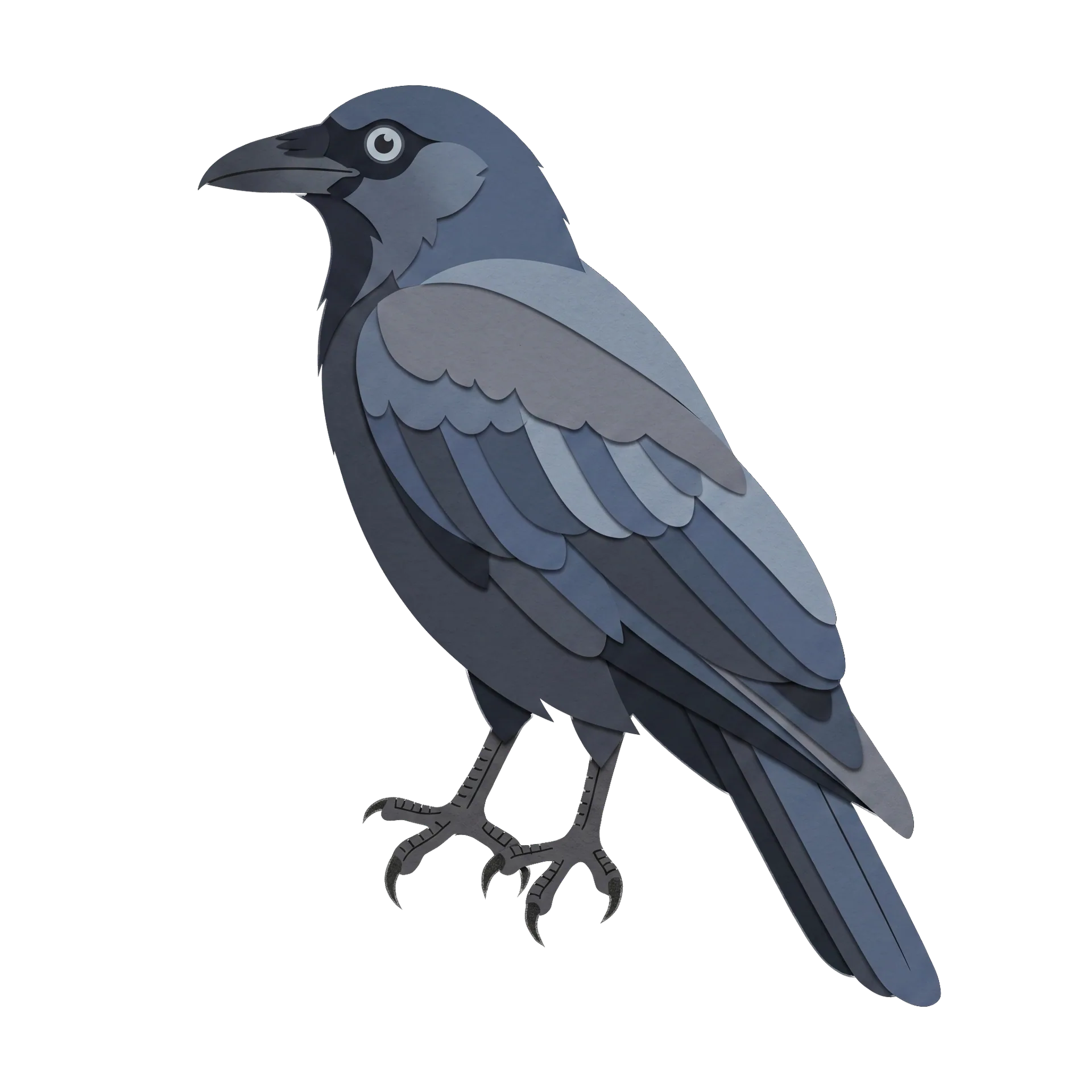 Illustration of a American Crow